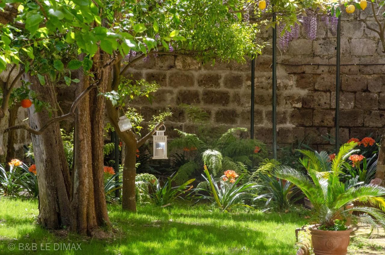 Le Dimax Bed and Breakfast Sant'Agnello Eksteriør billede